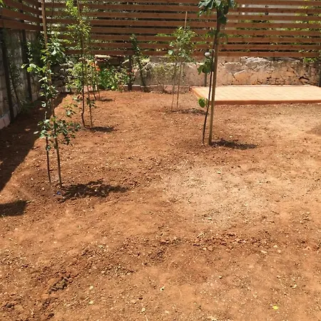 The House With The Garden *