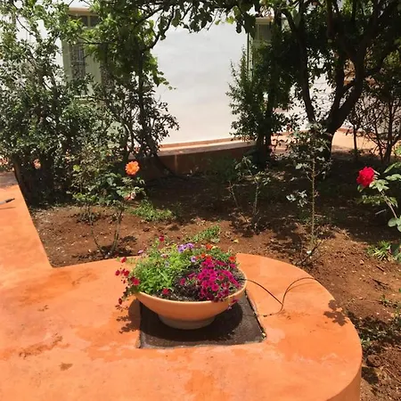 The House With The Garden *