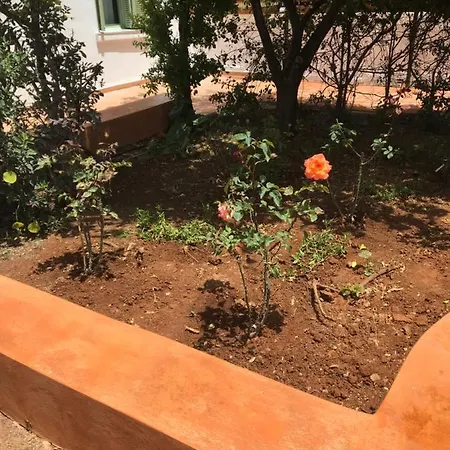 The House With The Garden